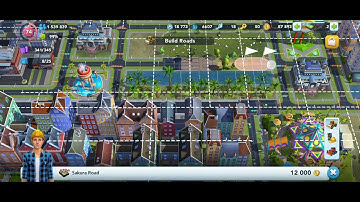 Types of roads that can grow sim