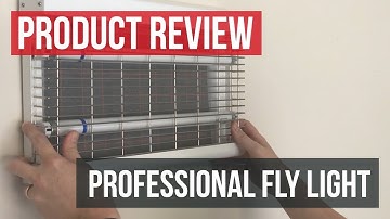 Professional Fly Light Fly Trap (1x2): Product Review