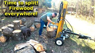 Firewood everywhere! Tractor Supply Countyline 25 ton log splitter! Wood splitter #702