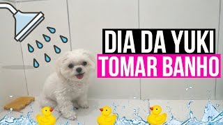 Oi Pessoal , hoje foi dia da Yuki tomar banho, dia de gravações e m...