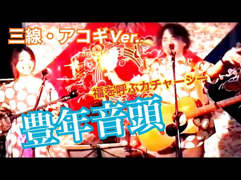 『豊年音頭カチャーシー』(emikutu 三線・アコギVer.)  沖縄料理や こだまLIVE♪