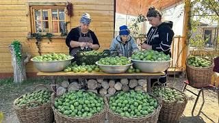 Download Lagu Harvesting Juicy Feijoa Fruit | Making Delicious JAM and JUICE MP3