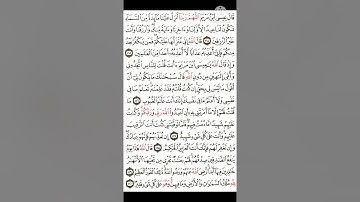 عادل فلاح ماتيسر من سورة المائدة آخر صفحه