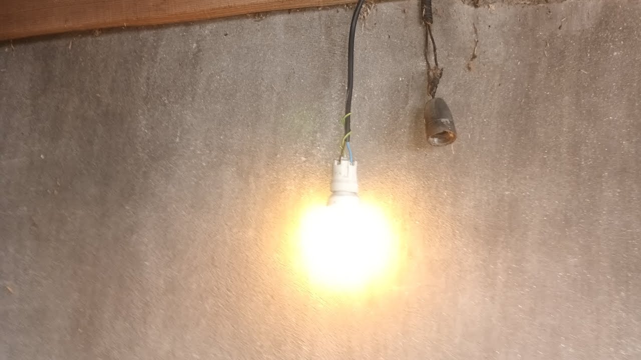 Am făcut bec pentru pui 