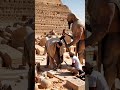 Ancient Egyptian pyramids 😳 #Egypt #ancient #pyramids #gizapyramids #egyptpyramids #mythology #natu