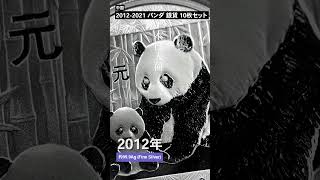 中国 2012-2021 パンダ 10元 30g 銀貨10枚セット 箱付き | 英国