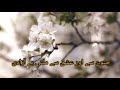 Janoon Sy Or Ishq Sy Milti H Azadi Full Song Heavenlady4007 Janoon Sy Or Ishq Sy Milti H Azadi Full Song Heavenlady4007
