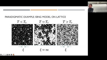 The Laplacian Renormalization Groups (LRG) unveils the organization of networks - Andrea Gabrielli