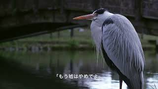 もう嘘はやめてよ