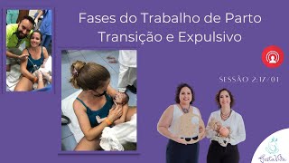 Fases do trabalho de parto: transição e expulsivo