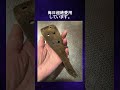 物持ちがいい王選手権!壊れても大事に使う人々!