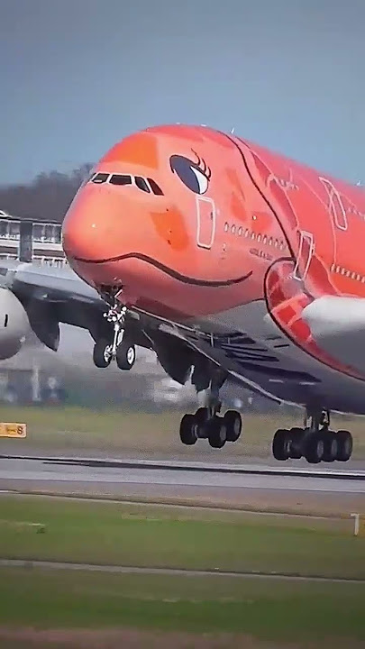Airbus A380 800, beautiful speed and steep take off, Ana Airlines Japan.
