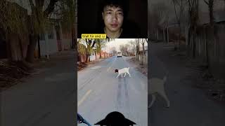 Wait For End😂😅 #shorts #shortsfeed #funny #viralshorts