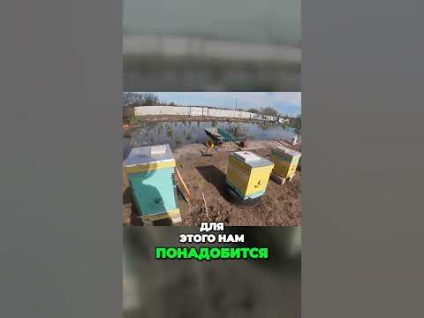 На що здатен природний мед? #мед #натуральниймед - YouTube