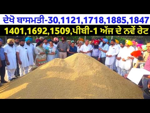 basmati rice price 1121 1718 1885 1847 1692 1401 Pb-1 basmati rate ...