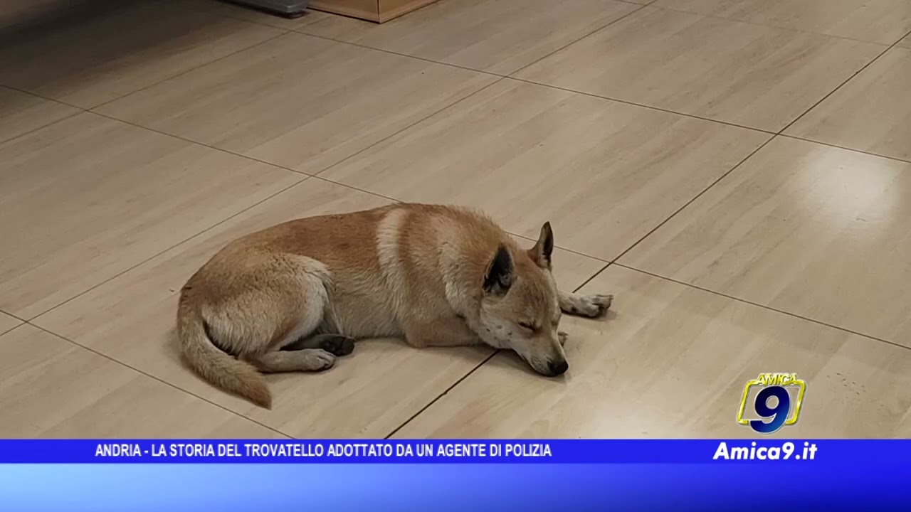Andria, la storia del trovatello adottato da un agente di polizia