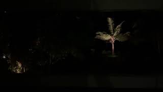 Nightime Waves & Beach Sounds from the Caribbean @IntrigueMe