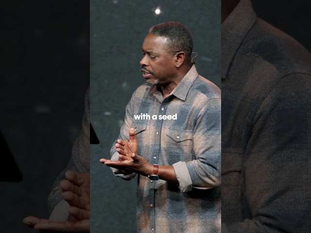 Seeds Are More Than Money