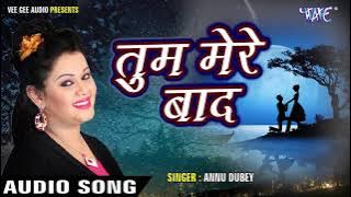 सबसे दर्द भरा गीत 2023 - तुम मेरे बाद - Tum Mere Baad - Anu Dubey New Sad Song