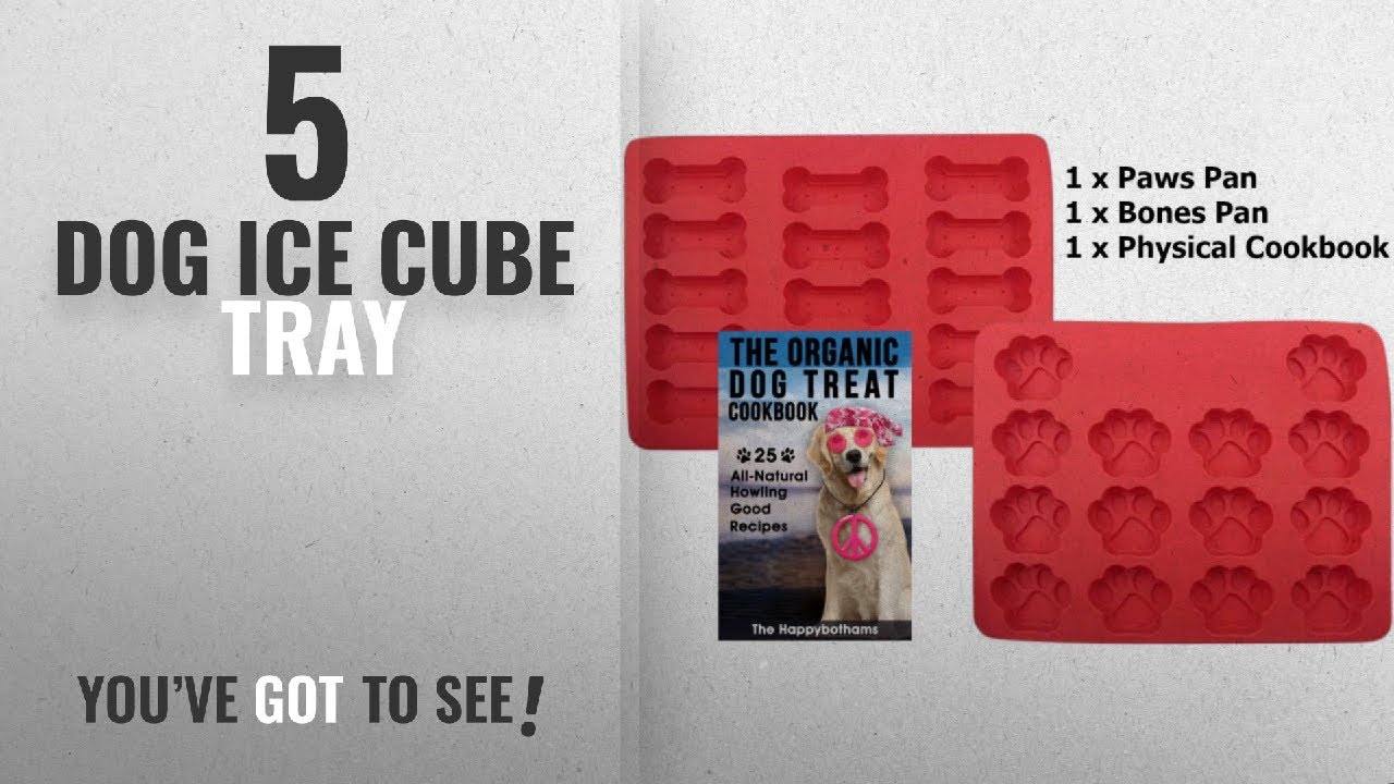 Top 5 Dog Ice Cube Tray [2018 Best Sellers]: Dog Paw and Bone Mold and Recipe Gift Set | Food Grade
