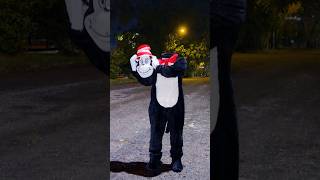 Esta es la VERDAD del GATO con SOMBRERO REAL⚠️😰
