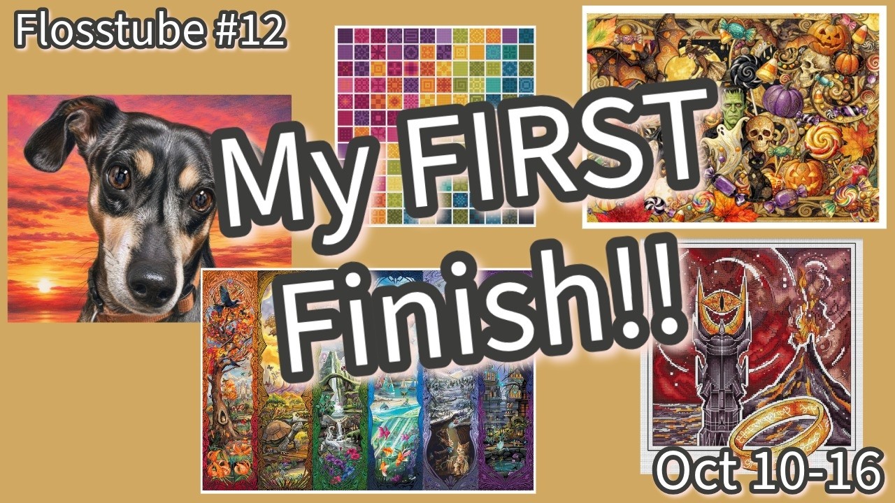 Flosstube #12 | My first large project is finished! - YouTube