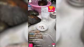 Example of Taobao Live Stream Oyster Shucking