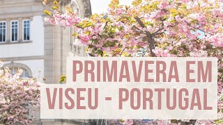 Primavera em Viseu