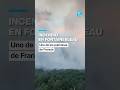 Incendio en Fontainebleau: uno de los pulmones de Francia