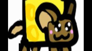 Nyan Mouse