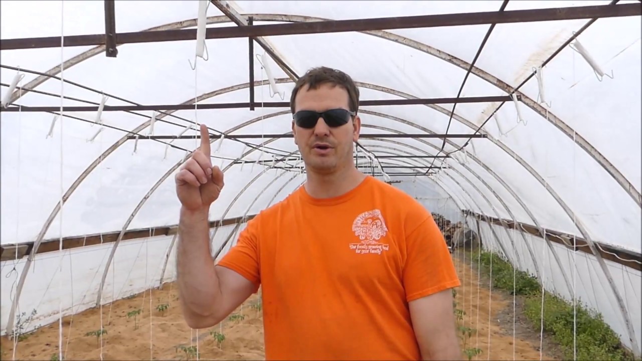 camera iphone 8 plus apk Setting Up Support for Single StemTomato Production