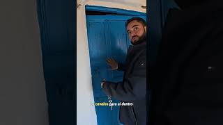 Olha o roteiro se criando, meus amigos | André #libanon #viagem #historyshorts #shorts