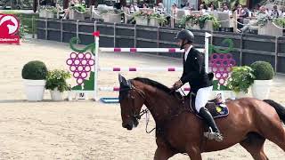 Jowel HBC. Jumping clear on the fences at LR Class. CSI Peelbergen. 9/5/24.