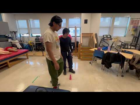 Dynamic Gait Index