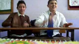 Habersizce Gidi Verdin