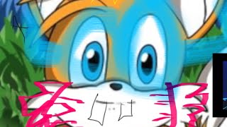 Tails on a bench * original music video* #meme
