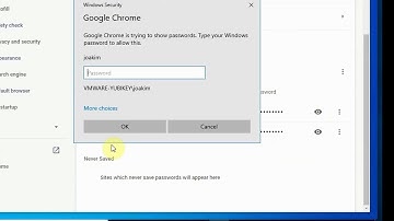 Arsenal Image Mounter with DPAPI Bypass