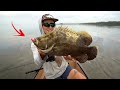 Completely unexpected catch in the indian river lagoon  florida flats fishing