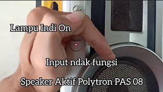 NOT TOTALLY OFF ||  NO VOICE INPUT ||  POLYTRON ACTIVE SPEAKER 'Old'
