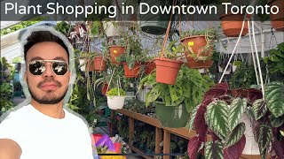Plant Shopping at Corner Convenience Stores | Houseplant Vlog