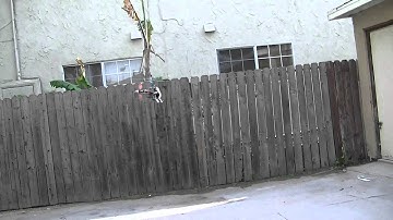 titan trex 450 61st hover 40% dual rate test 929 mg servos tail in hover fun lol.