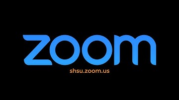 Zoom - Meeting Security Button