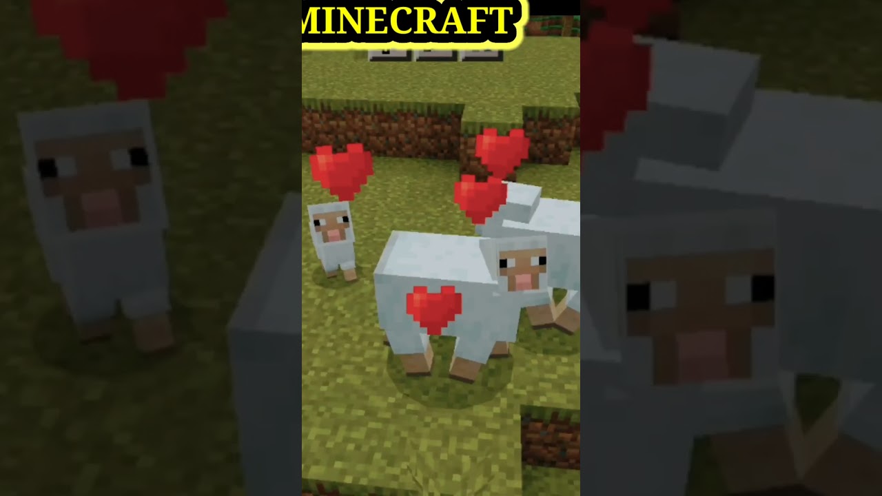 Minecraft : Livestock ! 