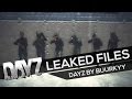 DAYZ SA: Leaked Game Files! ft. Car Oil, Seeds and Woods!