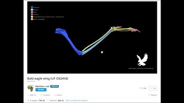 How to explore 3D models online with Sketchfab