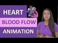 Heart Blood Flow Quiz