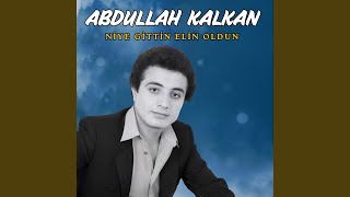 Niye Gittin Elin Oldun