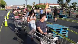 La Habra Costco, Egg Nation😀