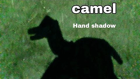 camel hand shadow puppet
