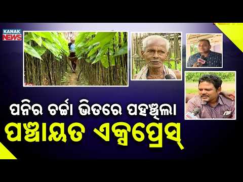 Panchayat Express | Niali Ground Report,Development, Local Issues & Public Mood Before Polls